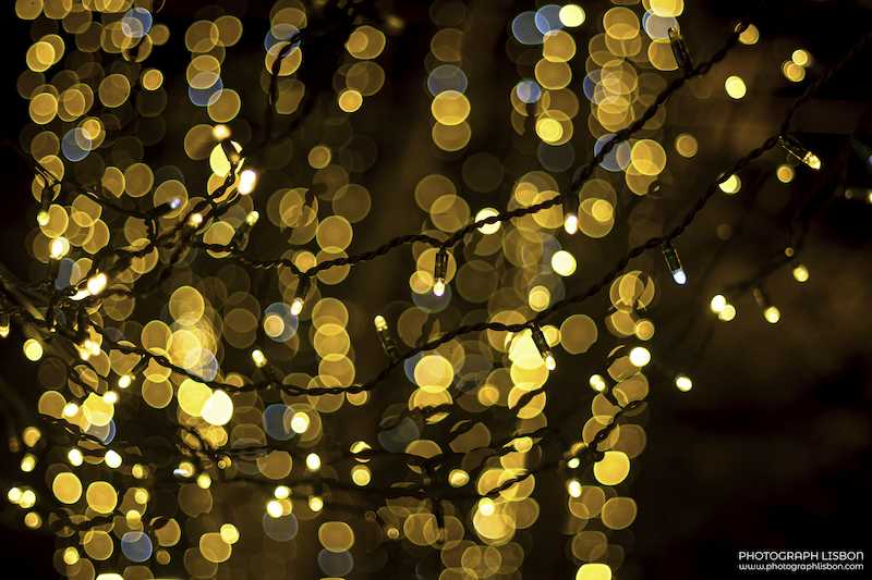 Warm golden bokeh of Christmas lights on a tree, shot with shallow depth of field, Lisbon.